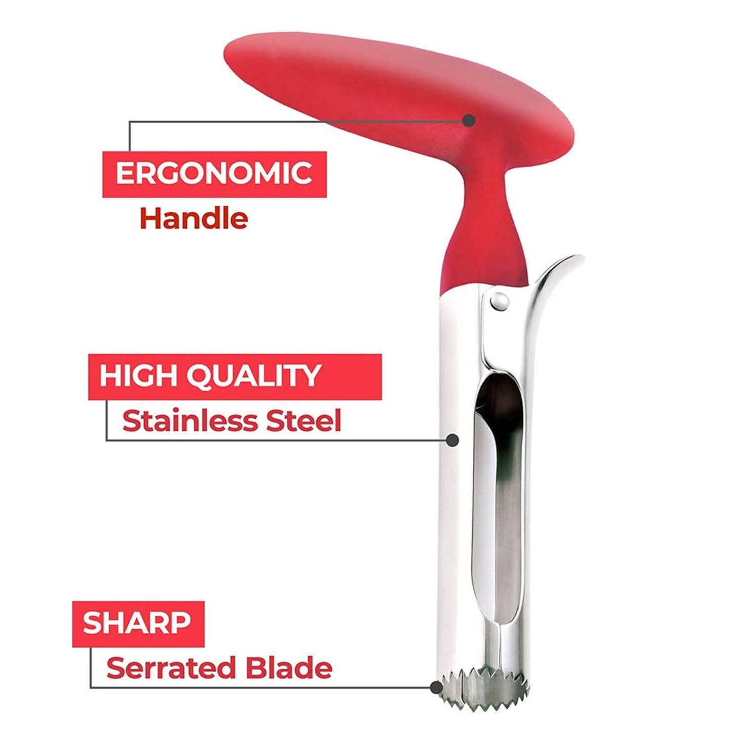 Stainless Steel Premium Apple And Fruit Corer Remover